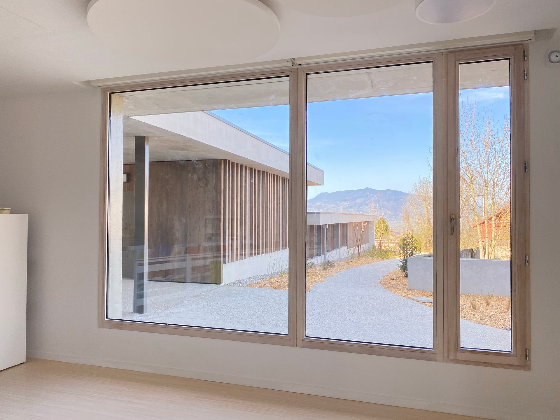 jumbo wood door